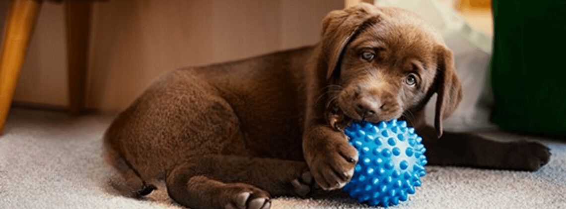 [paste advice page name here]